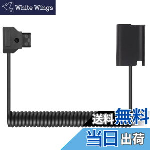 �y���������zRaeisusp D-Tap-DCC12 DMW-BLF19 D-Tap-DCC17 DMW-BLK22 �_�~�[�d�r �d���P�[�u�� LUMIX DMC-GH3 GH4 GH5 GH5II GH5S GH6L DC-S5K S5GK G9