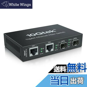 �y���������z10Gtek �M�K�r�b�g �����f�B�A�R���o�[�^�[ 1.25Gb/s 2xSFP�|�[�gto 2x10/100/1000Base-Tx