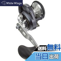 楽天市場】トリウム 2000 hgの通販