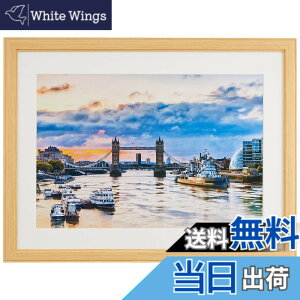 �y���������z�P���R�[(Kenko) �z�� �R�X���X W4�� �ؐ� �O�ʃK���X�g�p �i�`������ MCM-W4-NA