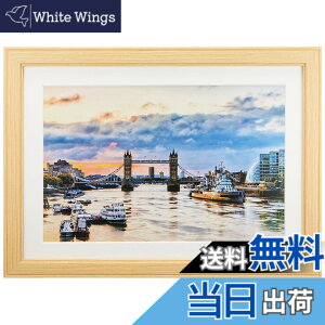 �y���������z�P���R�[(Kenko) �z�� �R�X���X W6�� �ؐ� �O�ʃK���X�g�p �i�`������ MCM-W6-NA