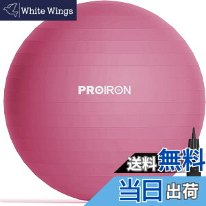 �y���������zPROIRON �o�����X�{�[�� 65cm ���b�h �n���h�|���v�t�� �^���s���̉���