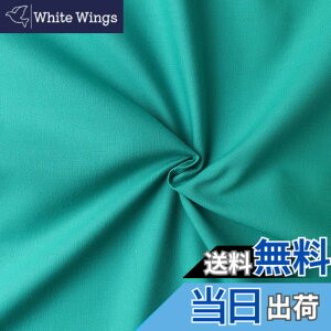 �y���������z���{�R�t�f��(Nippon Chuko) �G�C�e�B�X�N�G�A ���n ���n ��100% �V���[�e�B���O �G�������h �O���[���n �Ж�108cmx6m�ؔ��J�b�g KD4630-213-6M