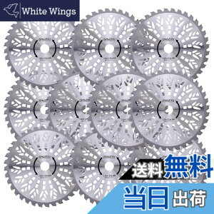 �y���������zSHUZIYU �����@�p�`�b�v�\�[ 230x36P 10���g