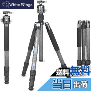 �y���������zINNOREL RT85C �J�[�{�� �O�r �{�[���_�� �L�b�g 184CM �g���x���O�r �v���� �i�b�g���b�N�� �G���x�[�^�[�� �ω׏d 25KG �l�i�r ��r�ώ� �p�C�v�a32mm ���y�� �^���� �o�R ��O �쒹 