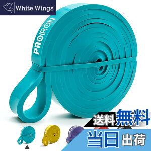 �y���������zPROIRON ���W�X�^���X�o���h ��R�o���h �g���[�j���O�o���h �V�R���e�b�N�X�� �� (6.7-13KG)