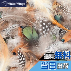 【送料無料】Kingsie 天然 羽根 180枚セット 6種類 フェザー 羽 シャワー 結婚式 ウェディング 飾り ドリームキャッチャー 手作り 手芸 帽子 装飾