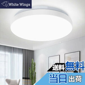 �y���������zDepuley LED�V�[�����O���C�g 4.5�� 6�� �����F ���^ 20W ������� �k�� �y�� 5700k~6000k 1200lm �ی^ �ǃX�C�b�` ���� �Q�� ���� �a�� �m�� �����R������ �ȒP��t �H���s�v �ȃG�l ��N �R