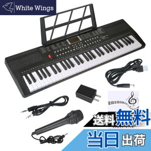 �y���������zHricane �L�[�{�[�h �s�A�m �d�q�s�A�m 61���� 200��މ��F 200��ރ��Y�� 60�ȃf���� LCD�f�B�X�v���C���� ���錮�� �y�� ���{��p�l�� �w�b�h�t�H���Ή� �q�� ���S�� ���K�p USB�P�[
