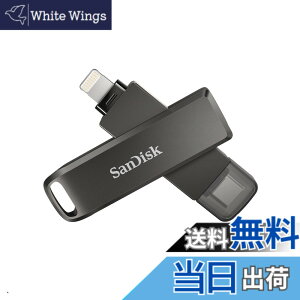 �y���������zSanDisk TYPE-C SDIX70N-256G-GN6NE Lightnig Flash