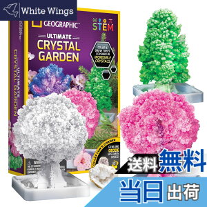 �y���������zNATIONAL GEOGRAPHIC �N���X�^���͔|�K�[�f�� �| �N���X�^���͔|�L�b�g��3�̃N���X�^���c���[���킸��6���Ԃň�Ă邱�Ƃ��ł��܂��BSTEM�L�b�g�ɂ́A�W�I�[�h�A�w�K�K�C�h�Ȃǂ�