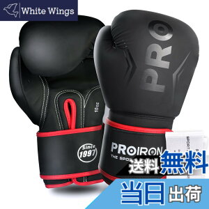 �y���������zPROIRON �{�N�V���O�O���[�u 10oz �{�N�V���O�p�O���[�u �p���`���O�O���[�u ���� �ϋv�������� ���K boxing gloves �����e�i���X�o�b�O�t�� 1�N�Ԃ�
