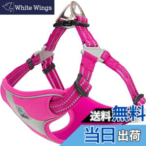 �y���������zcocomall ���S�y�����p�n�[�l�X ���{�����X ���p���� �h�b�O �y�b�g�p�i �n�[�l�X���[�h 3M���ˍޗ� �P�� �i�C������ ���^���A���^���A��^���Ɍ��� �ʋC�� ���߉\ (M, �s���N)