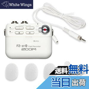 �y���������zZOOM �Y�[�� �����^ �t�B�[���h���R�[�_�[ F2-BT/W 32bit�t���[�g�^���Ή� Bluetooth �����[�g����@�\ ���x���A�}�C�N�t�� �ߕ���@�ނɑ����\ 14���ԋ쓮 �u���C�_�� �C���^�r���[ 