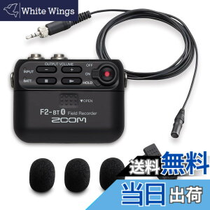 �y���������zZOOM F2-BT ���x���A�}�C�N�t 32bit�t���[�g�^�� �����ꂵ�Ȃ������^���R�[�_�[ Bluetooth�Ή� YouTube/Vlog���^ �u���b�N �������K�i