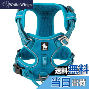 �y���������zcocomall 2020�V�^ ���p�n�[�l�X ���p���� �h�b�O �y�b�g�p�i �n�[�l�X 3M���ˍޗ� �P�� �i�C������ ���^���A���^���A��^���Ɍ��� �ʋC�� ���߉\ (XL, �u���[)