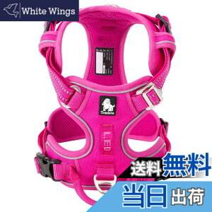 �y���������zcocomall 2020�V�^ ���p�n�[�l�X ���p���� �h�b�O �y�b�g�p�i �n�[�l�X 3M���ˍޗ� �P�� �i�C������ ���^���A���^���A��^���Ɍ��� �ʋC�� ���߉\ (XS, �s���N)
