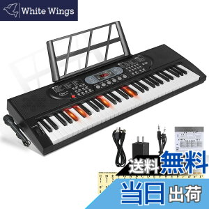 �y���������zHricane �L�[�{�[�h �s�A�m �d�q�s�A�m 61���� 200��މ��F 200��ރ��Y�� 60�ȃf���� LCD�f�B�X�v���C���� ���錮�� �y�� ���{��p�l�� �w�b�h�t�H���Ή� �q�� ���S�� ���K�p USB�P�[