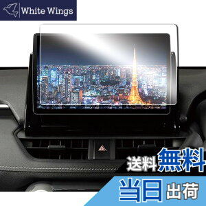 �y���������zruiya PET���t�B���� 2022�V�^ �p�i�\�j�b�N CN-F1X10BGD / CN-F1X10GD �X�g���[�_ �i�r 10�C���` �i�r �ی�t�B���� ��p �f�B�X�v���C �t�B���� �A�N�Z�T���[ Hydro�R�E�C���X���H ����h�~