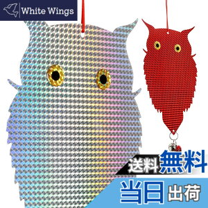 �y���������zOFFO ���悯 ���悯 ���̓V�G�t�N���E�^�Ŕ��Ⓓ���������� �t�N���E�^�쒹���˔̓L���L�����đ��z�����������˂��܂� �t���Q�h�~�E�i�ς𑹂Ȃ킸�n�g�Ȃǂ̊Q���ɂ���