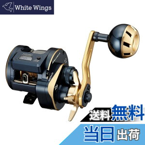 �y���������z�_�C��(DAIWA) 21 �\���e�B�KIC 100L