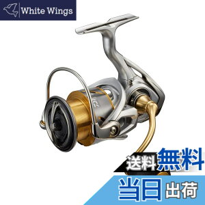 �y���������z�_�C��(DAIWA) �X�s�j���O 21 �t���[���X LT4000-CXH