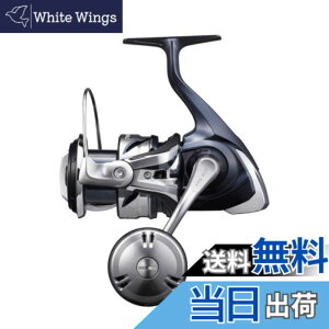�y���������z�V�}�m(SHIMANO) 21 �c�C���p���[ SW 5000HG