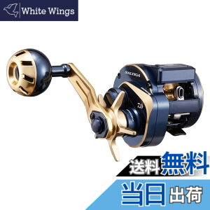 �y���������z�_�C��(DAIWA) 21 �\���e�B�KIC 100