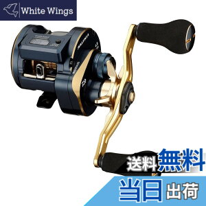 �y���������z�_�C��(DAIWA) 21 �\���e�B�KIC 100PL-DH