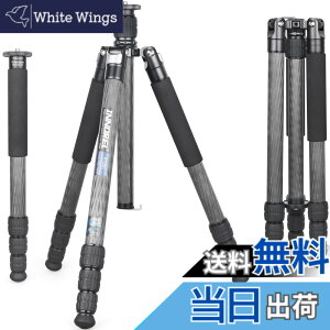 �y���������zINNOREL RT85C �J�[�{�� �O�r 173CM �g���x���O�r �v���� �i�b�g���b�N�� �G���x�[�^�[�� �ω׏d 25KG �l�i�r ��r�ώ� �p�C�v�a32mm ���y�� �^���� �o�R ��O �쒹 �B�e �X�p�C�N �O�r