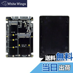 �y���������zNFHK 2�C��1�R���{ M.2 NGFF B-Key & mSATA SSD to SATA 3.0 �A�_�v�^�[�R���o�[�^�[�P�[�X�G���N���[�W��