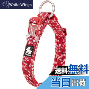 �y���������zcocomall���{�����X ����� ���̎�� �P���p ���^�A���^�A��^���p �y�b�g�p�i �i�C������ �ʋC�� �e�͐� �\�t�g���b�V�� �ȒP���� ������� ���߉\ (XL, Poppy Red)