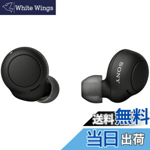 �y���������z�\�j�[(SONY) ���S���C�����X�C���z�� WF-C500 : /�y�ʏ��^5.4g/�����x�ʘb�i��/�ȒP�y�A�����O/IPX4�h�H���\/�u���b�N WF-C500 BZ