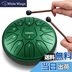�y���������z�X���b�g�h���� �X�`�[���^���O�h���� LEKATO �����h���� 11�� 6�C���` �Ŋy�� �}���b�g ���[�o�b�O�t�� �ґz ���K �T (�W�F�C�h�O���[��)