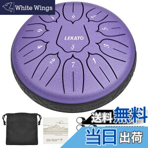 �y���������z�X���b�g�h���� �X�`�[���^���O�h���� LEKATO �����h���� 11�� 6�C���` �Ŋy�� �}���b�g ���[�o�b�O�t�� �ґz ���K �T (�p�[�v��)