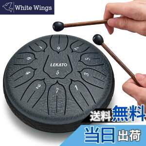 �y���������z�X���b�g�h���� �X�`�[���^���O�h���� LEKATO �����h���� 11�� 6�C���` �Ŋy�� �}���b�g ���[�o�b�O�t�� �ґz ���K �T (�l�C�r�[�u���[)