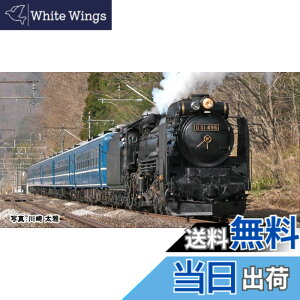 �y���������zKATO N�Q�[�W D51 498 (�����t) 2016-A �S���͌^ ���C�@�֎� ��