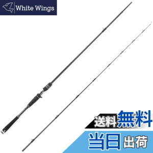 �y���������zAbuGarcia (�A�u�K���V�A) �\���e�B�[�X�e�[�W�v���g�^�C�v �V�[�o�X SaltyStageProtoType Seabass XSBC-742X-BB