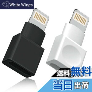 �y���������z���C�g�j���O�����P�[�u�� �A�_�v�^�[ 2�_�p�b�N Apple(�A�b�v��) MFI�F�� iPhone�[�d�� �����P�[�u�� �I�X�^-���X�^ �h�b�N �G�N�X�e���_�[ iPhone 13 12 11 X XS XR 8 7 6 5 iPad�Ή� �I�[�f