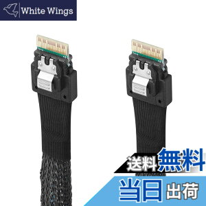 �y���������zTwozoh SAS SFF-8654 to SFF-8654�P�[�u�� SAS SFF-8654�P�[�u�� 38�s���T�[�o�[HDD�f�[�^�]���P�[�u�� �T�[�o�[/�f�[�^�X�g���[�W/���[�N�X�e�[�V�����p 1M �K�i���������s��