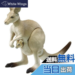 ���i�摜