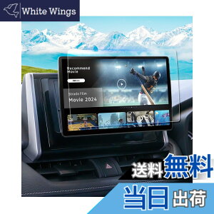 �y���������zruiya �����K���X 2024�V�^ �p�i�\�j�b�N �X�g���[�_ 10�C���` CN-F1X10C1D �t�B���� �ی�t�B���� �i�r�t�B���� ��p �X�g���[�_ �i�r �t�B���� 10�C���` �i�r �ی�t�B���� 9H �J�X�^
