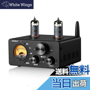 �y���������zAIYIMA T9 Bluetooth 5.0 100W*2�`���[�u�A���v 2.0�`�����l�� �^��� USB DAC�X�e���IHiFi�z�[���I�[�f�B�I�f�W�^���A���v RCA/COA/Opt/PC-USB�AVU���[�^�t��