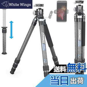 �y���������zINNOREL �J���� �O�r �J�[�{�� ��჌�t�O�r N36 ���R�_��t�� 20KG�ő�ω׏d 4�i�L�k 16-173CM��ƍ��� 29/25.6/22.2/18.8MM�p�C�v�a 360° �r�f�I�J���� �f�W�J�� DSLR DV�ʗp�R���p�N�g �O�r 