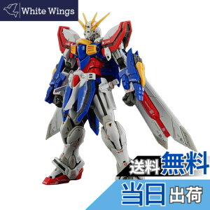 �y���������zBANDAI SPIRITS(�o���_�C �X�s���b�c) RG �@�������`G�K���_�� �S�b�h�K���_�� 1/144�X�P�[�� �F�����ς݃v�����f��