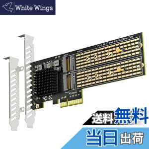 �y���������zGLOTRENDS PA20 2����M.2 PCIe �ϊ��A�_�v�^, PCIe 3.0 x4 �C���^�[�t�F�[�X, PCIe ����@�\�ɑΉ�, M.2 NVMe �\�t�g RAID �ɑΉ�