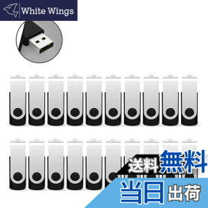 �y���������zRAOYI USB������ 32GB USB 2.0 20�Z�b�g �t���b�V���h���C�u ��]�� �܂Ƃߔ��� �Ɩ��p �������X�e�B�b�N �≮ �X�g���b�v�z�[���t�� �i���j