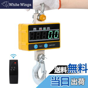�y���������zCGOLDENWALL �N���[���X�P�[�� �݂�͂��� 2000kg �[�d�� �f�W�^���N���[���X�P�[�� 2t �v�ʃX�P�[���N���[�� �����x��͂��� �����R���t�� �݂艺���f�W�^���X�P�[�� ���{�����