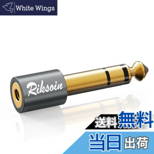 �y���������z3.5mm �� 6.35mm �ϊ� �v���O RIKSOIN (1��) �X�e���I�~�j�v���O (���X) �� �X�e���I�W���v���O (�I�X) �C���z���W���b�N �ϊ� 24K�����b�L �w�b�h�z���A�A���v�A�d�q�s�A�m���ɓK�p