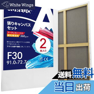 �y���������zAUREUO �ȉ��@���a ����L�����o�X F30 (91.0cmX72.7cm) 2�� - ���ڕz ���ʉ�E���G��E�A�N�������p - ���_���A�[�g�E�|�b�v�A�[�g�ɍœK